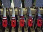 bridle tapes